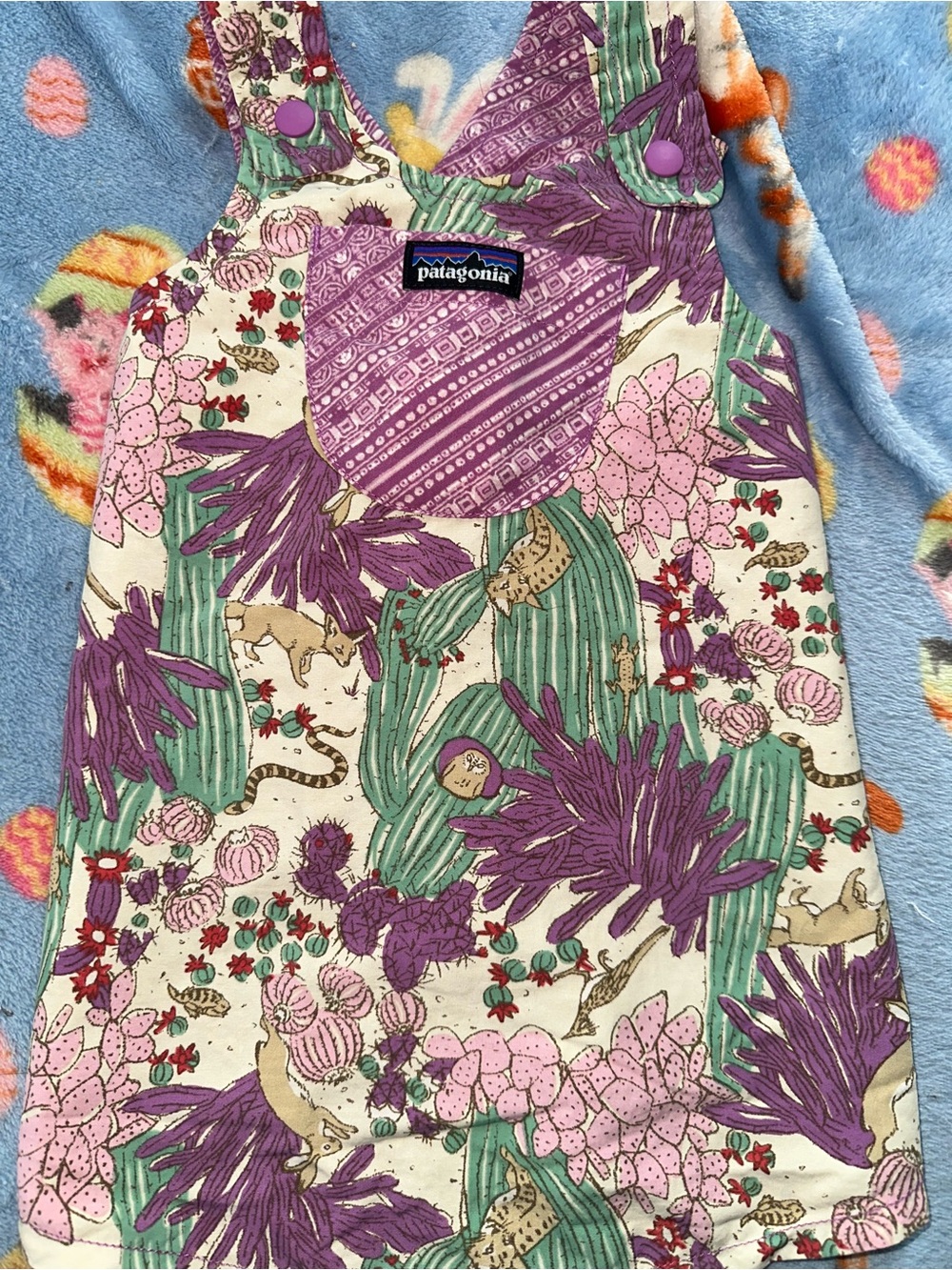 GUC 6-12M Patagonia reversible baggies dress desert cactus animal print